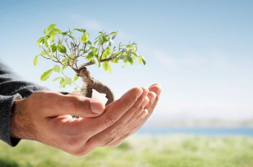 Reglas de oro de un buen clima laboral